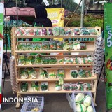 “Nyayur Mayur” Ramaikan CFD Jalan Ijen, Sayur Kualitas Harga Merakyat