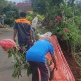 Respon Cepat PU Bina Marga Kabupaten Malang Tangani Dua Titik Longsor di Tirtoyudo