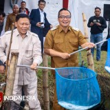 Dukung Ekonomi Pesisir, Wamen KKP Didit Tinjau Koperasi Desa Merah Putih di Gresik