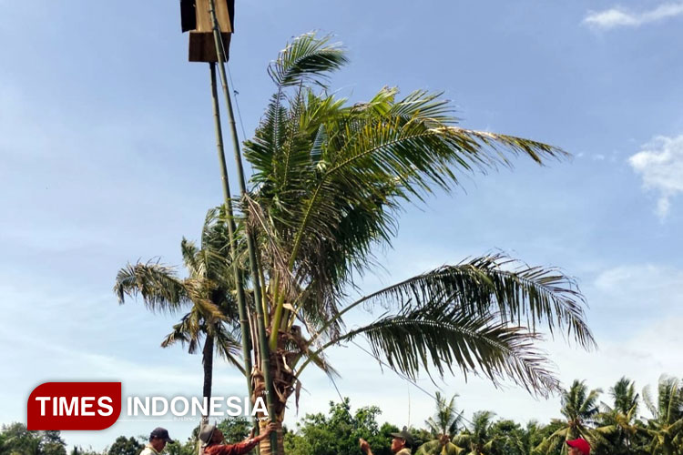 Dispertan-Banyuwangi-a.jpg