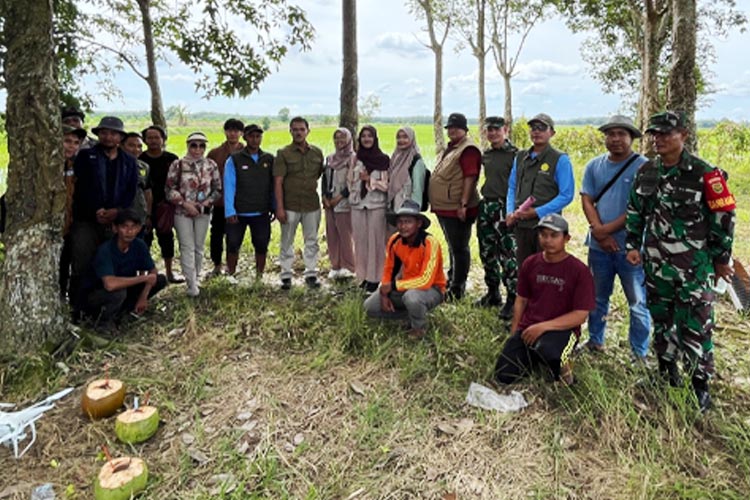 Gerdal-Hama-Penggerek-Batang-Padi-2.jpg