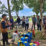 Kementan Gandeng Polbangtan Malang dalam Gerdal Hama Penggerek Batang Padi