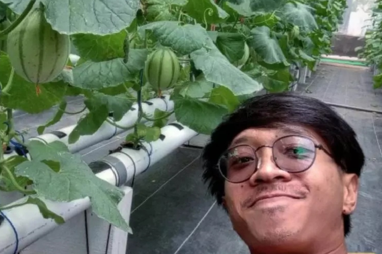 Kisah-Sukses-Petani-Milenial-di-Malang-Budidaya-Melon-b.jpg
