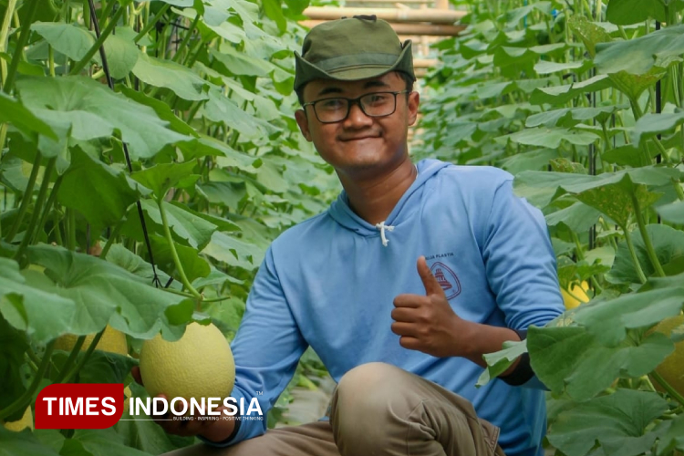 Kisah Sukses Petani Milenial di Malang Budidaya Melon dari Kebun Greenhouse