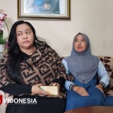 Belasan Kucing di Kompleks Rumah Kota Malang Mendadak Mati