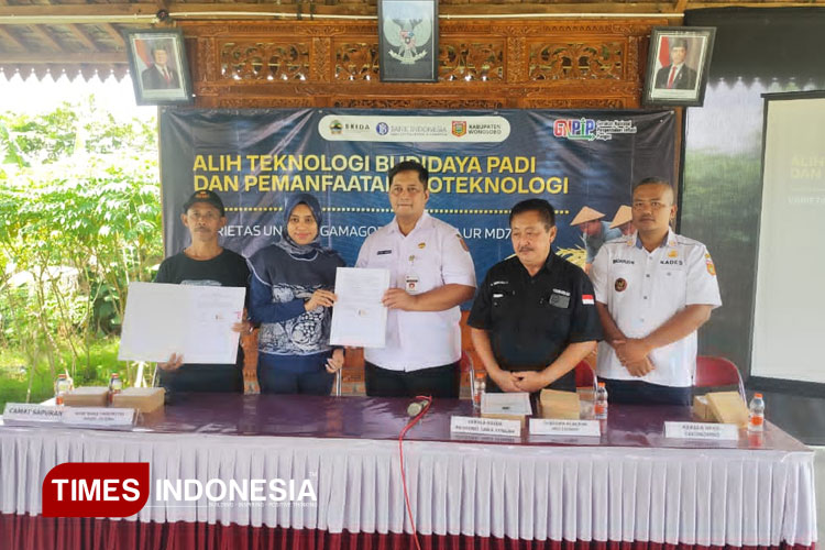 Dukung Pangan Nasional, Desa Talunombo Wonosobo Tanam Padi Inovatif di Demoplot