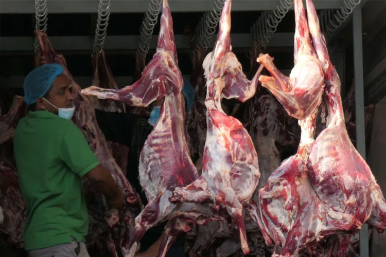 Petugas sedang memotong daging dam kurban jamaah haji Indonesia. (FOTO: ANTARA/HO-Kemenag)