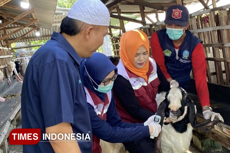 Pastikan Bebas Penyakit, Hewan Kurban di Gresik Harus Kantongi Surat Sehat