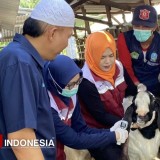 Pastikan Bebas Penyakit, Hewan Kurban di Gresik Harus Kantongi Surat Sehat