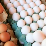 Jangan Salah Pilih! Ini Tips Memilih Telur Segar dan Berkualitas