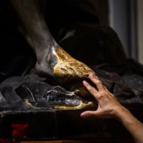 Peringatan Kenaikan Yesus Kristus, Menag Serukan Kesatuan RI
