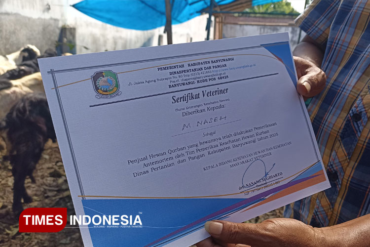 sertifikat.jpg
