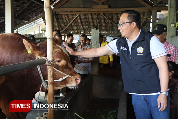 Prabowo Beli Dua Ekor Sapi Kurban dari Gresik, Peternak: Tak Menyangka Dibeli Presiden