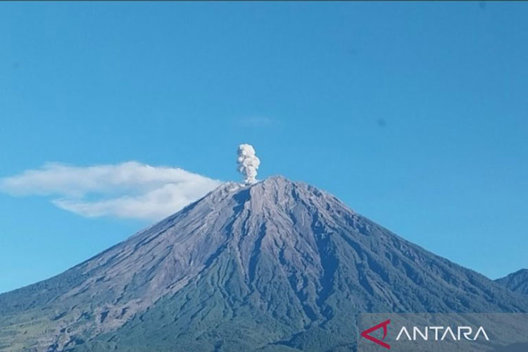 Gunung Semeru dan Dukono Erupsi, Badan Geologi Keluarkan Rekomendasi