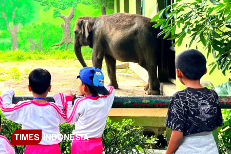 Kebun Binatang Surabaya: Warisan Kolonial yang Bertahan Lewat Zaman