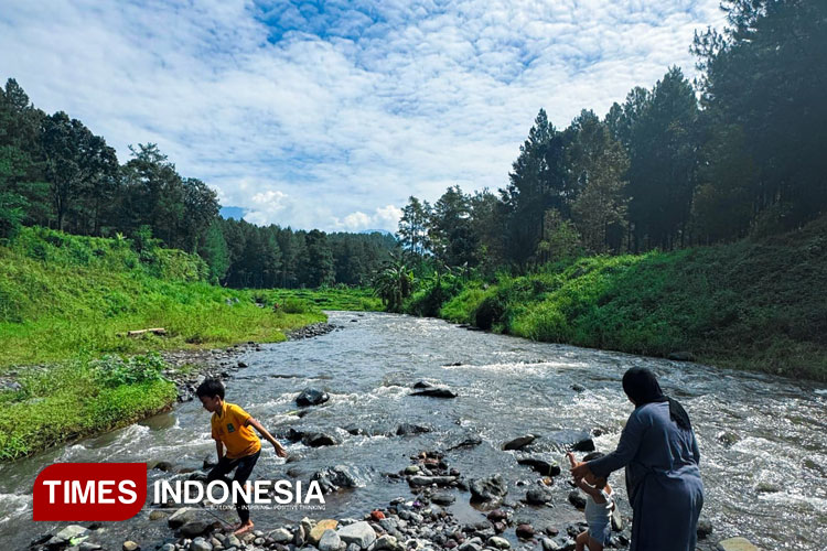 Tak Perlu Jauh ke Eropa, Cukup Rasakan Sensasi Pemandangan 'Swiss' di Wisata Baru Banyuwangi