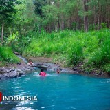 Intip Asrinya Kedung Biru Banyuwangi, Di Tengah Hutan Pinus Bak Pemandian Bidadari