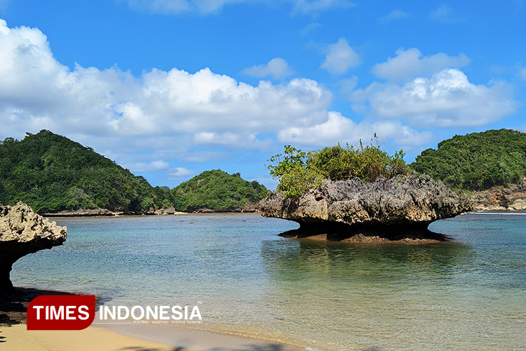 pesisir-Pantai-Teluk-Asmara.jpg