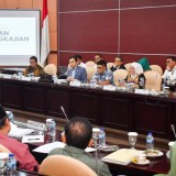 Badan Pengkajian MPR Bentuk Dua Tim Perumus PPHN