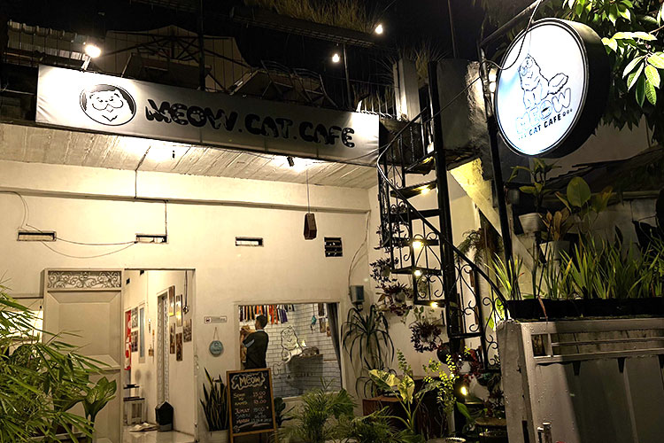 Meow Cafe Malang. FOTO: Kontributor TIMES Indonesia, Muhammad Adistya Bimasandy.