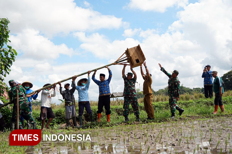Pemasangan-sangkar-burung-hantu.jpg