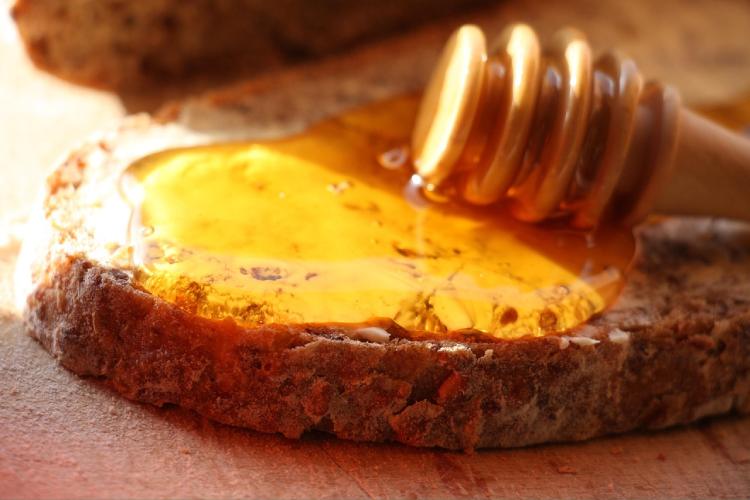 Sohoney Jr Dorong Kesadaran Nutrisi Anak Sejak Dini
