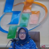 Nilai Impor Indonesia 20,59 Miliar Dolar AS, BPS: Naik 21,84 Persen