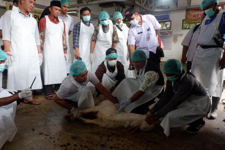250 Juleha Profesional di Banyuwangi Siap Bertugas pada Idul Adha 2025