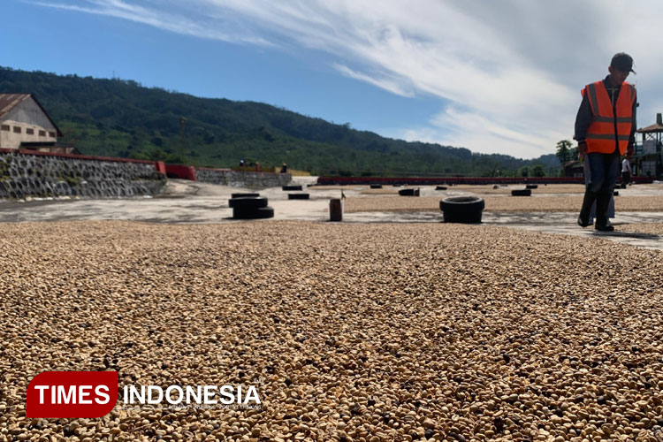 Wakil Menteri BUMN Dorong Ekspor Kopi Ijen Bondowoso