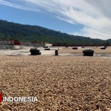 Wakil Menteri BUMN Dorong Ekspor Kopi Ijen Bondowoso