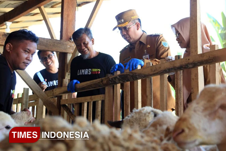 Wali Kota Dokter Aminuddin cek langsung kesehatan hewan kurban di Limas Farm jelang Idul Adha 2025. (Foto: Humas for TIMES Indonesia)