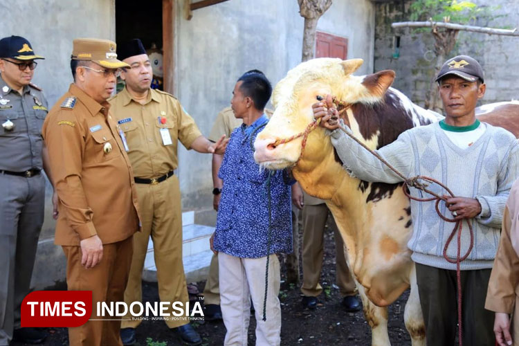 Wali Kota Dokter Aminuddin tinjau sapi kurban Presiden RI milik peternak Hamid di Kelurahan Pakistaji. (Foto: Humas for TIMES Indonesia)