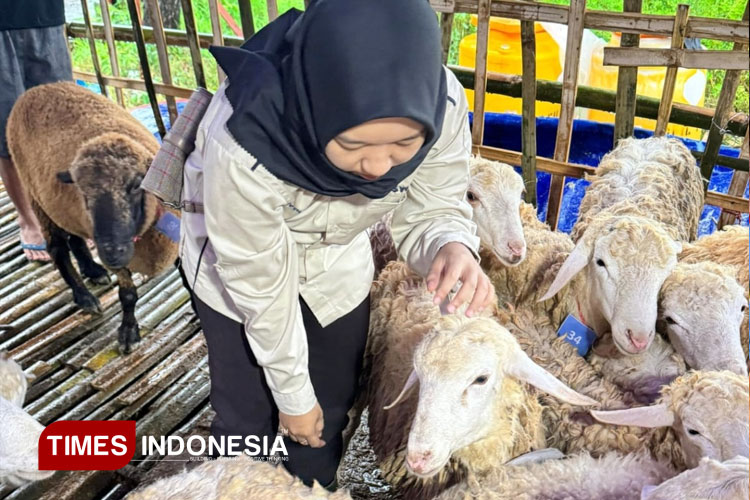 pasar-hewan-wilayah-Kecamatan-Lamongan-2.jpg