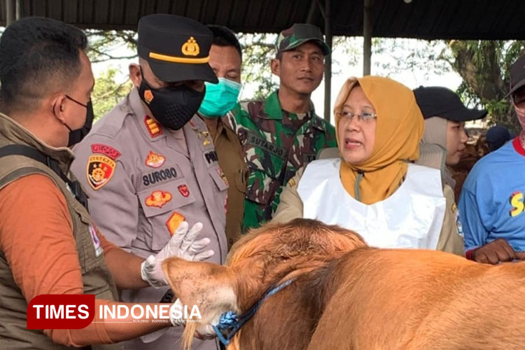 Kepala Disnakeswan Lamongan, Sofiah Nurhayati saat meninjau dan melakukan pemeriksaan di pasar hewan wilayah Kecamatan Lamongan, Mantup dan Tikung, Selasa (3/6/2025), (FOTO: Moch. Nuril Huda/TIMES Indonesia)