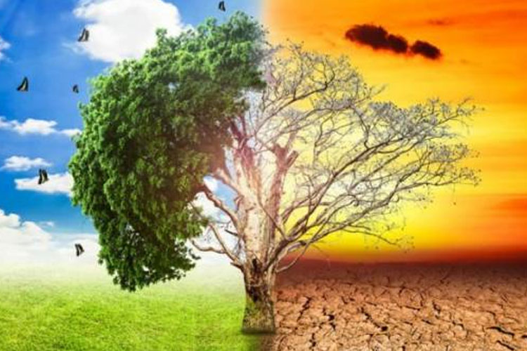 Strategi Pemkab dan CSO Hadapi Isu Perubahan Iklim di Sumba Timur