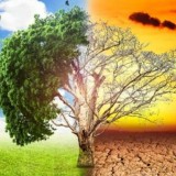 Strategi Pemkab dan CSO Hadapi Isu Perubahan Iklim di Sumba Timur