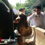 Jelang Idul Adha, Bupati Warsubi Tinjau Langsung Tiga Titik Penjualan Hewan Kurban
