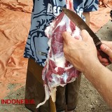 Muncul Masalah Pencernaan Pasca Konsumsi Daging Kurban, Dokter Jelaskan Sebabnya