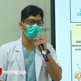 Waspada, Rabies Menular dari Hewan Peliharaan