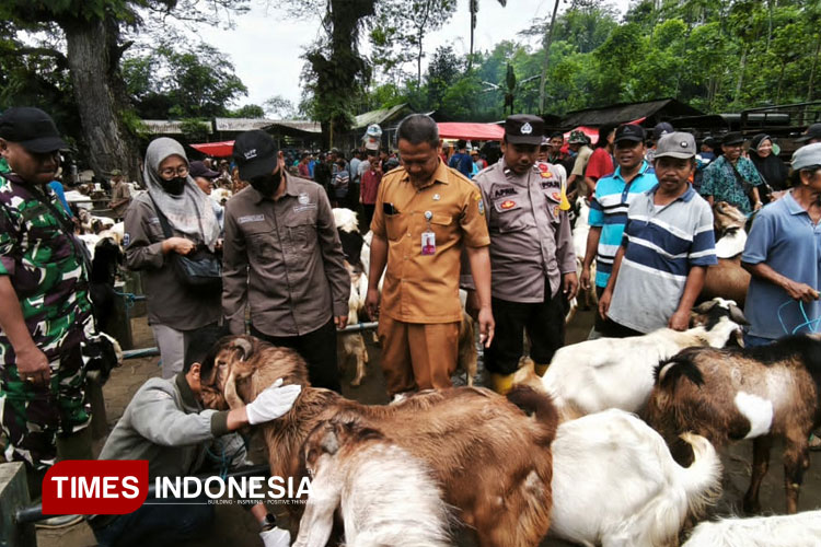 Pengawasan hewan kurban menjelang Idul Adha oleh DKPP Pacitan mengantisipasi antraks yang sudah masuk di Gunungkidul, DIY. (FOTO: Yusuf Arifai/TIMES Indonesia)