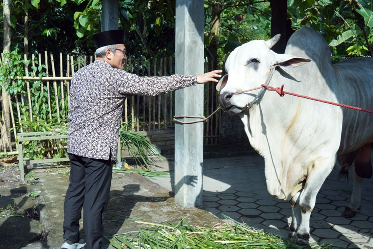 Bupati-Bantul-Abdul-Halim-Muslihc.jpg
