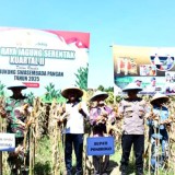 Dandim Ponorogo Hadiri Panen Raya Jagung Serentak Kuartal II