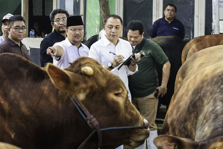 Wali Kota Eri Cahyadi Cek Langsung Kesehatan Hewan Kurban, Pastikan Memenuhi Standar
