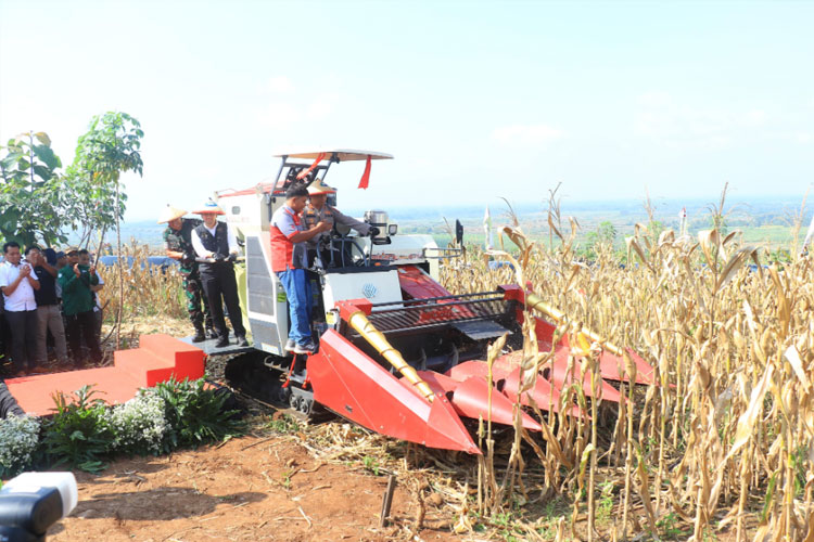 Kapolda Jatim dan Forkopimda Panen Raya Jagung di Ngawi, Dorong Ketahanan Pangan Daerah