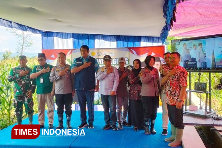 Panen Raya Jagung Serentak di Gegeran Pacitan Digelar Virtual Bersama Presiden Prabowo