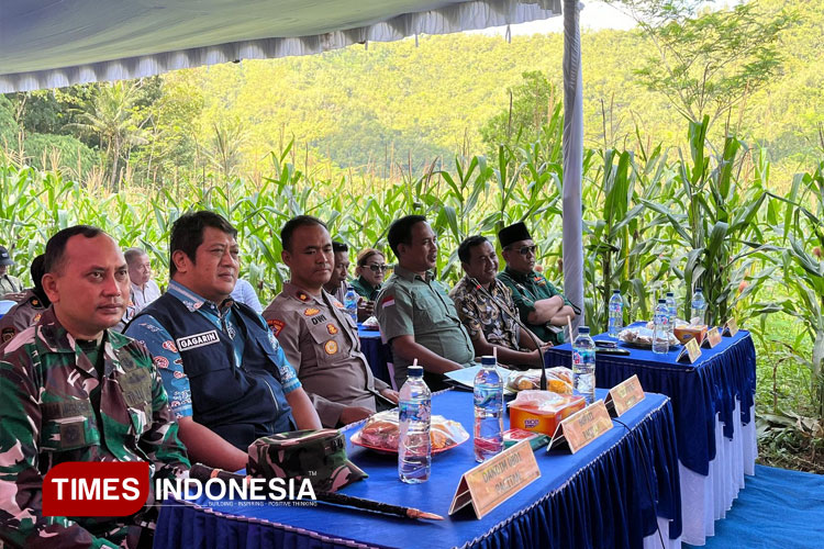 Panen-raya-jagung-kuartal-II-v2.jpg