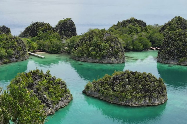 Pakar Hukum Pariwisata: Isu Tambang Raja Ampat Bukan Sekadar Masalah Lingkungan