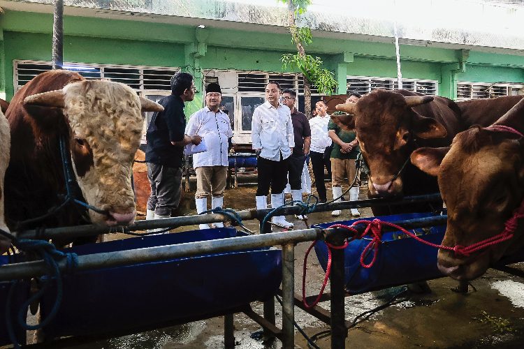 RPH Surabaya Siap Layani Kebutuhan Hewan Kurban untuk Hari Raya Idul Adha 1446 H