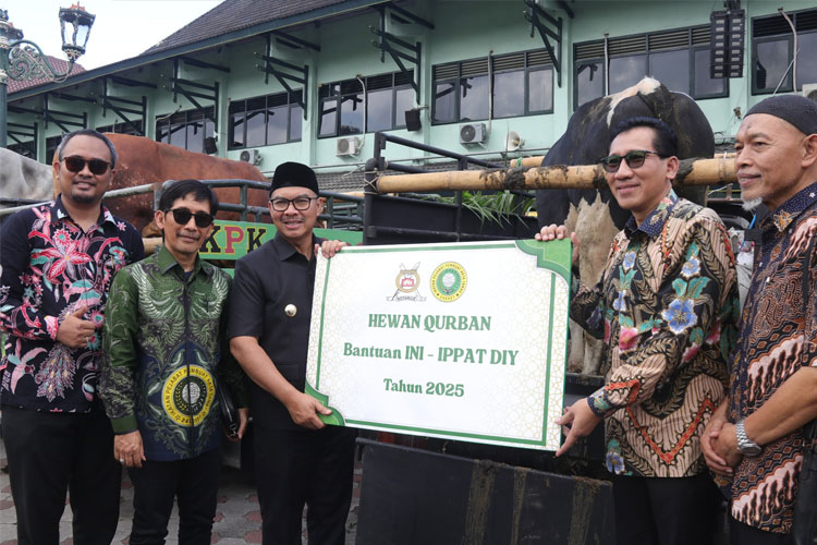 Luar Biasa, Wali Kota Yogyakarta Bagikan 10 Sapi Kurban kepada Penggerobak Sampah