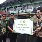 Luar Biasa, Wali Kota Yogyakarta Bagikan 10 Sapi Kurban kepada Penggerobak Sampah